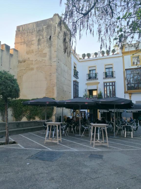 Duplex Ancha Con Wifi Y Parking Apartamento Jerez de la Frontera Exterior foto